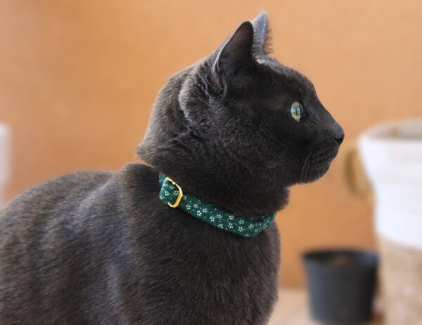 Collier fin chat Ringo