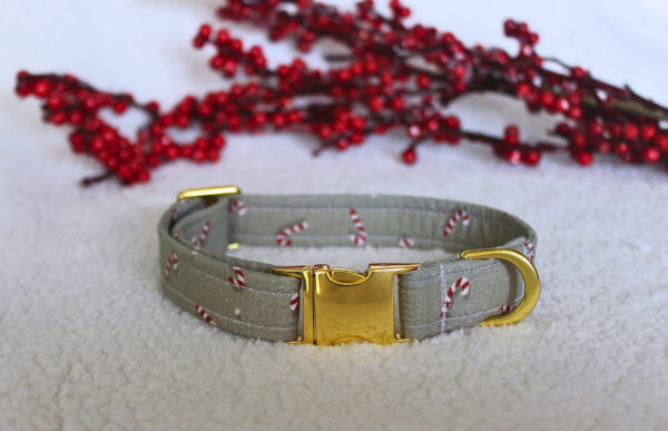 Collier Rudolph