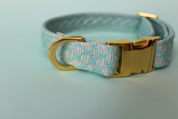 Collier chien Teddy – Image 2