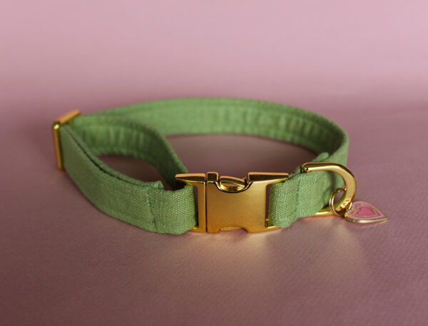 Collier chien Matcha