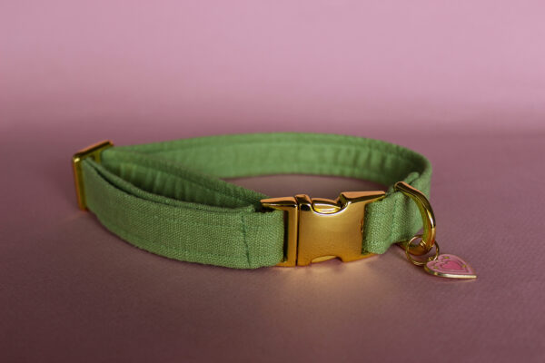 Collier chien Matcha – Image 2
