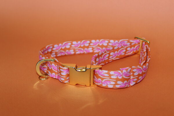 Collier chien Sunset – Image 2